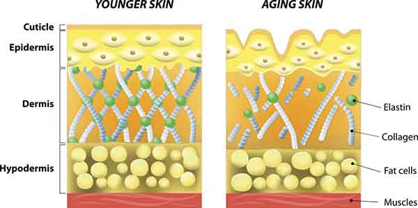 Thalgo Collagen 5000 