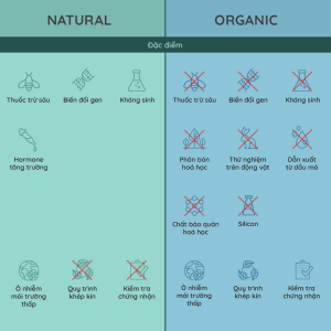 Mỹ phẩm ‘natural’